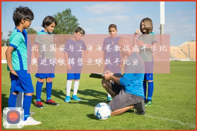 北京国安与上海海港激战成平法比奥进球张稀哲点球扳平比分