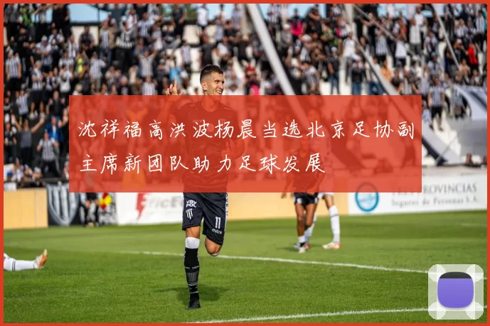 沈祥福高洪波杨晨当选北京足协副主席新团队助力足球发展