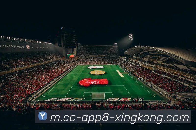 App 展示图